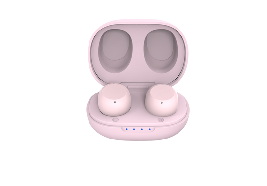 Recycled TinyS® HERMOROMAHDUS ALE